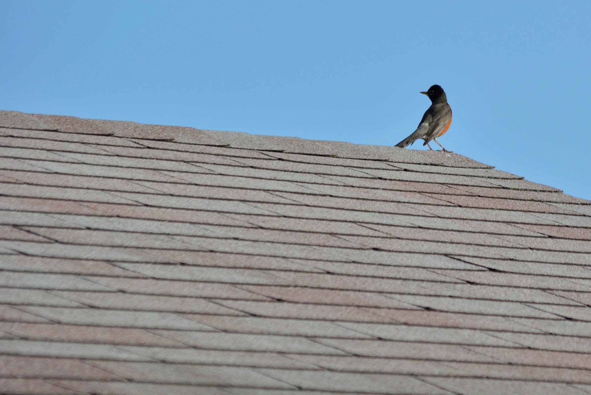 Roofing And Siding American BuildPro